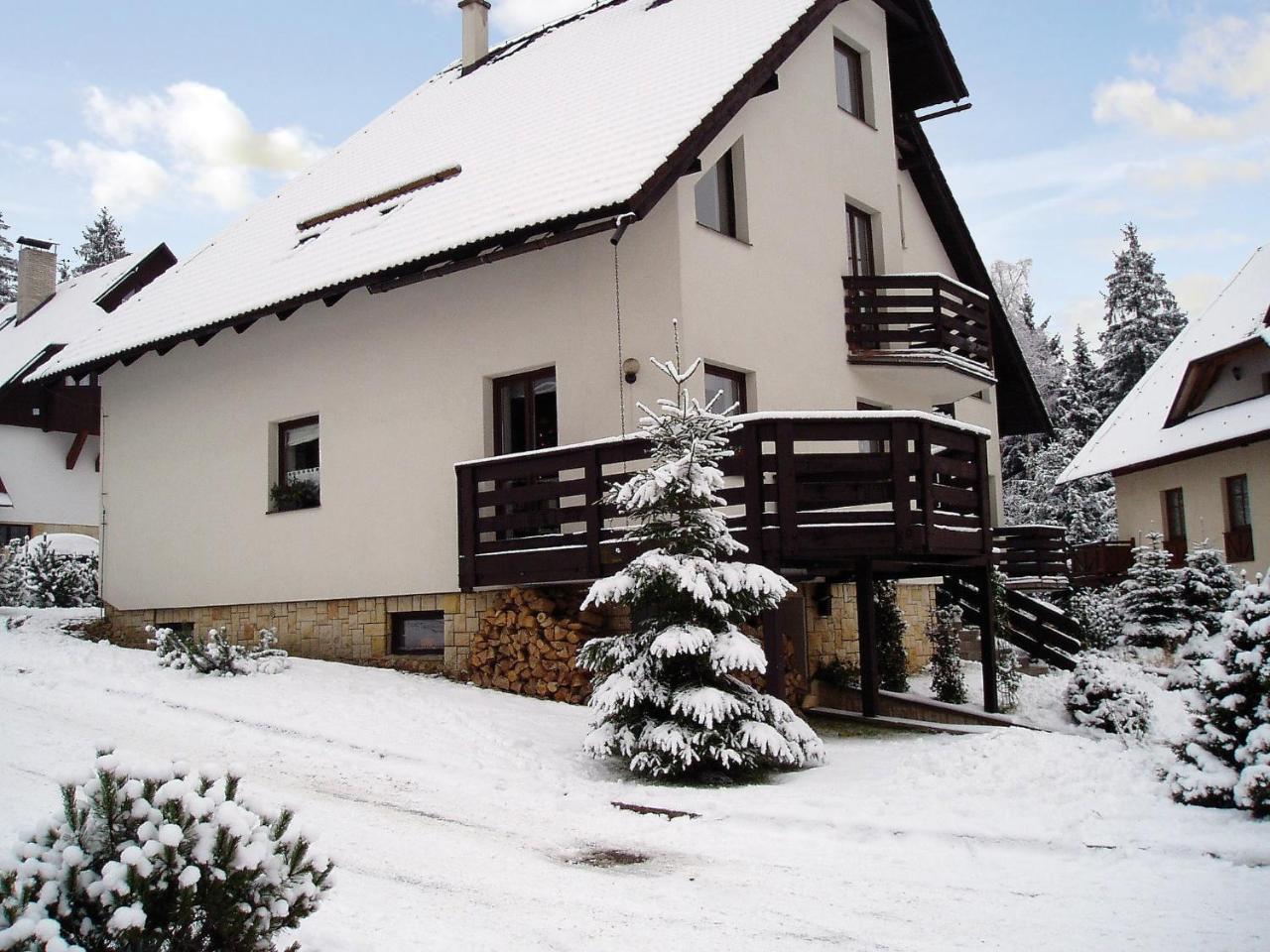 Apartment Harrachov/Riesengebirge 2400 외부 사진